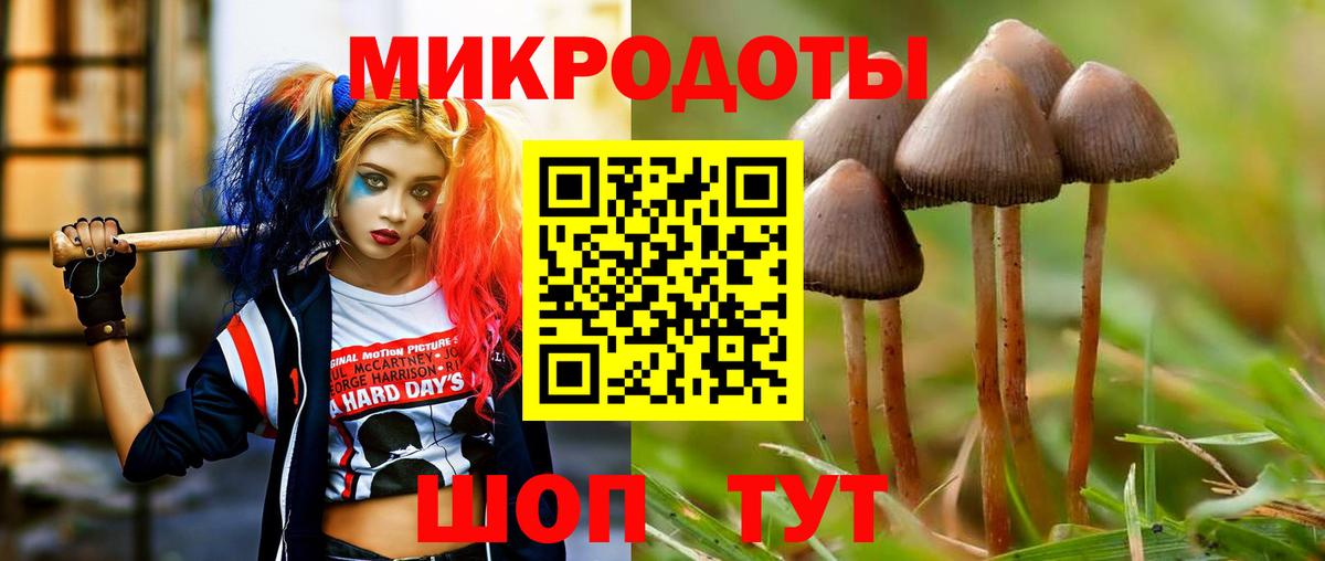 Галлюциногенные грибы мицелий Нижнекамск