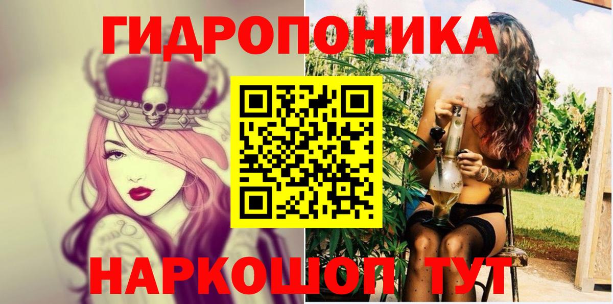 Бошки Шишки семена  Вход с VPN  Бошки Шишки SATIVA & INDICA  Нижнекамск 